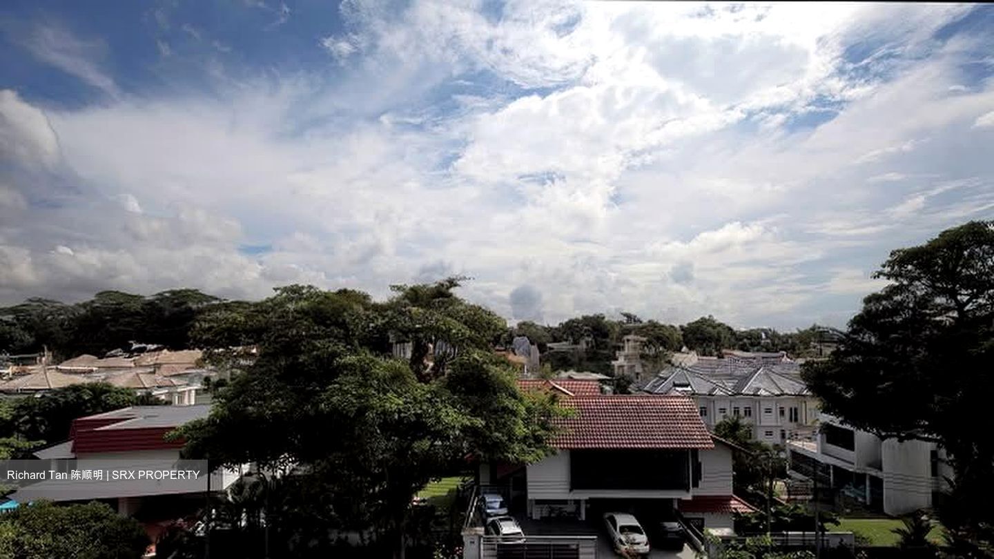 Raffles Park (D11), Detached #570984071